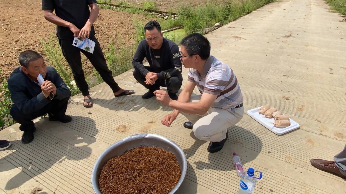 农业微生物资源利用团队专家赴冕宁开展技术指导