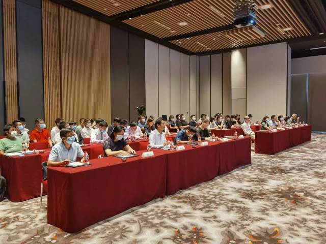 抓住机遇，找准定位——大咖聚焦大湾区建言献策