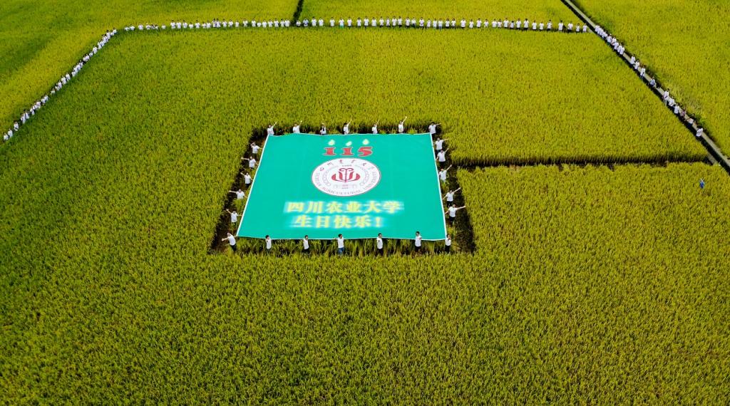 【115周年校庆】农学院举办“丰收节”活动为115周年校庆献礼