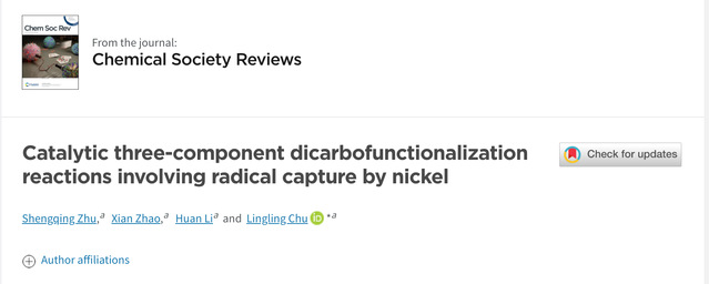 我校先进低维材料中心储玲玲课题组在国际顶尖综述类期刊《ChemicalSocietyReviews》受邀发表综述文章
