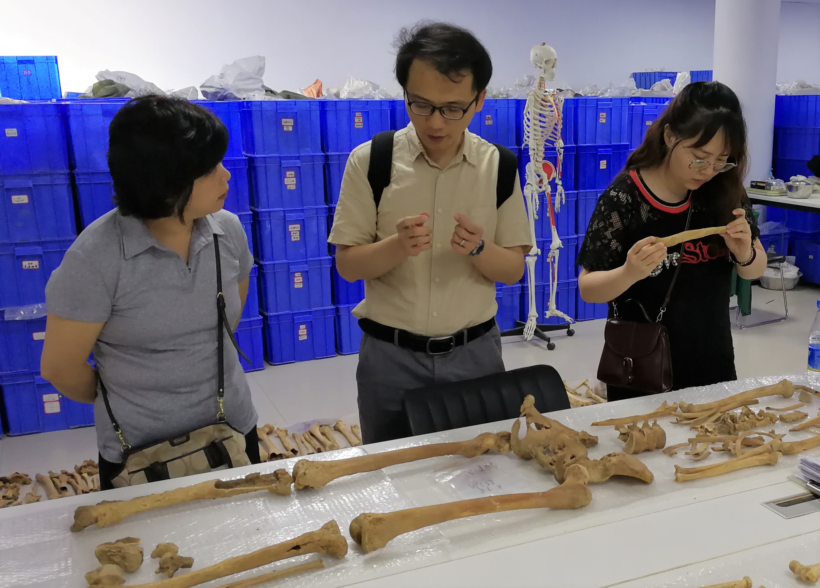 新文科学者王传超用科技手段解析人类文明演进