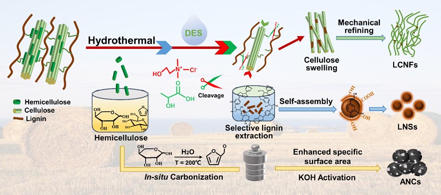 环境学院在木质纤维素废弃物绿色加工领域取得新进展