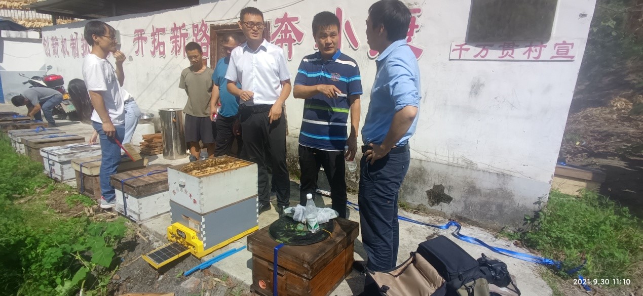 智能养蜂技术助力乡村振兴推动雷波县养蜂业提档升级