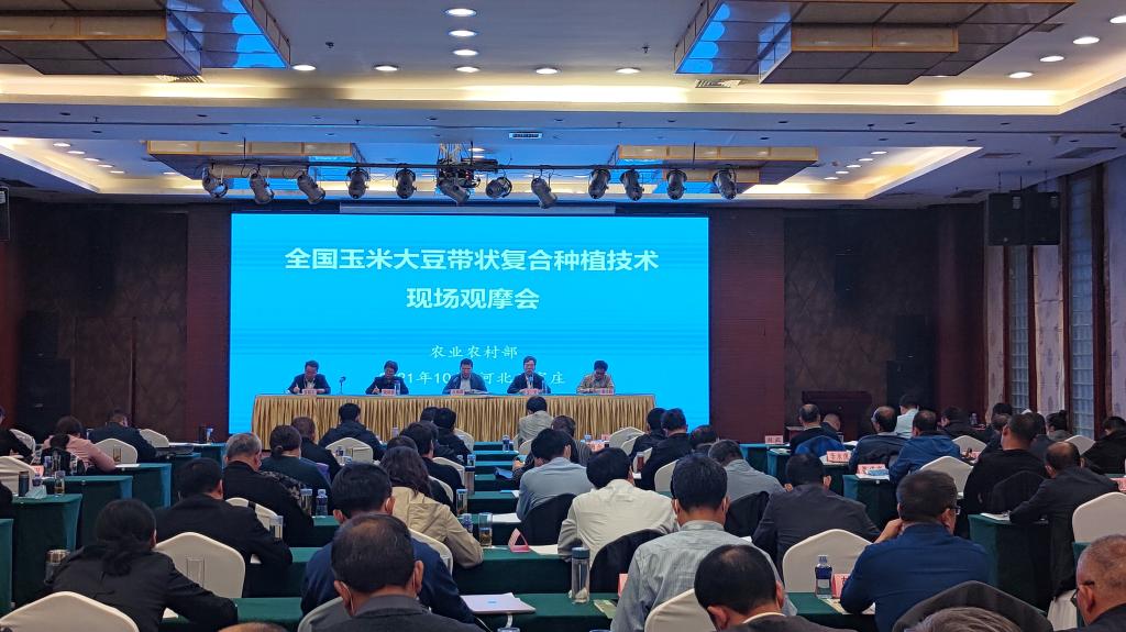 全国玉米大豆带状复合种植技术现场观摩会召开