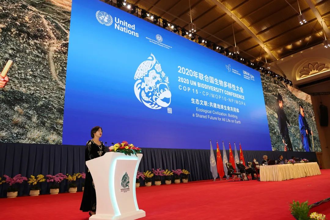 我校学生在联合国《生物多样性公约》第十五次缔约方大