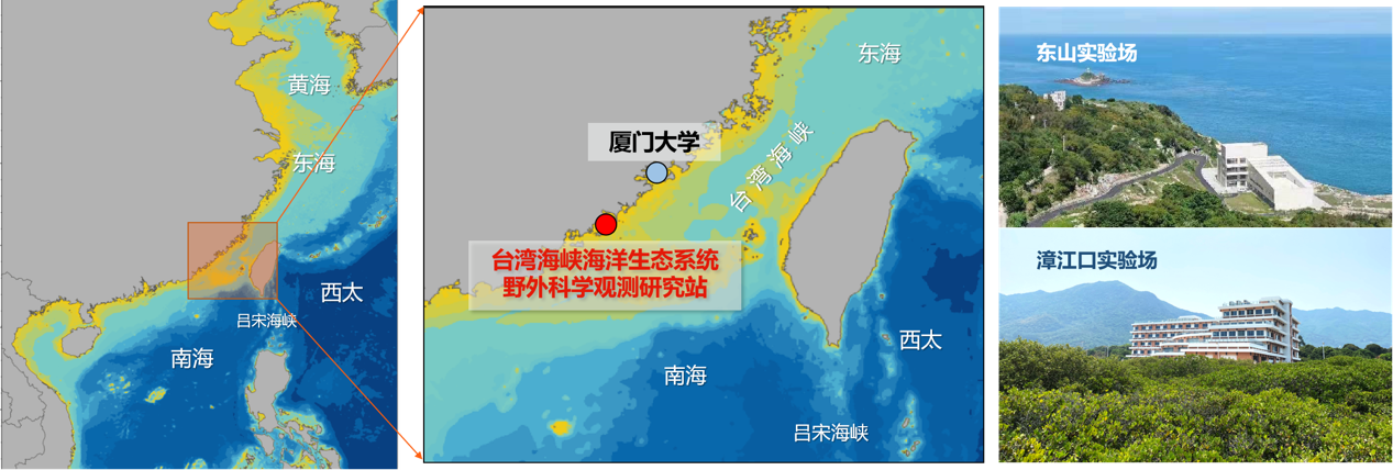 厦门大学福建台湾海峡海洋生态系统国家野外科学观测研究站正式入选国家野外科学观测研究站批准建设名单