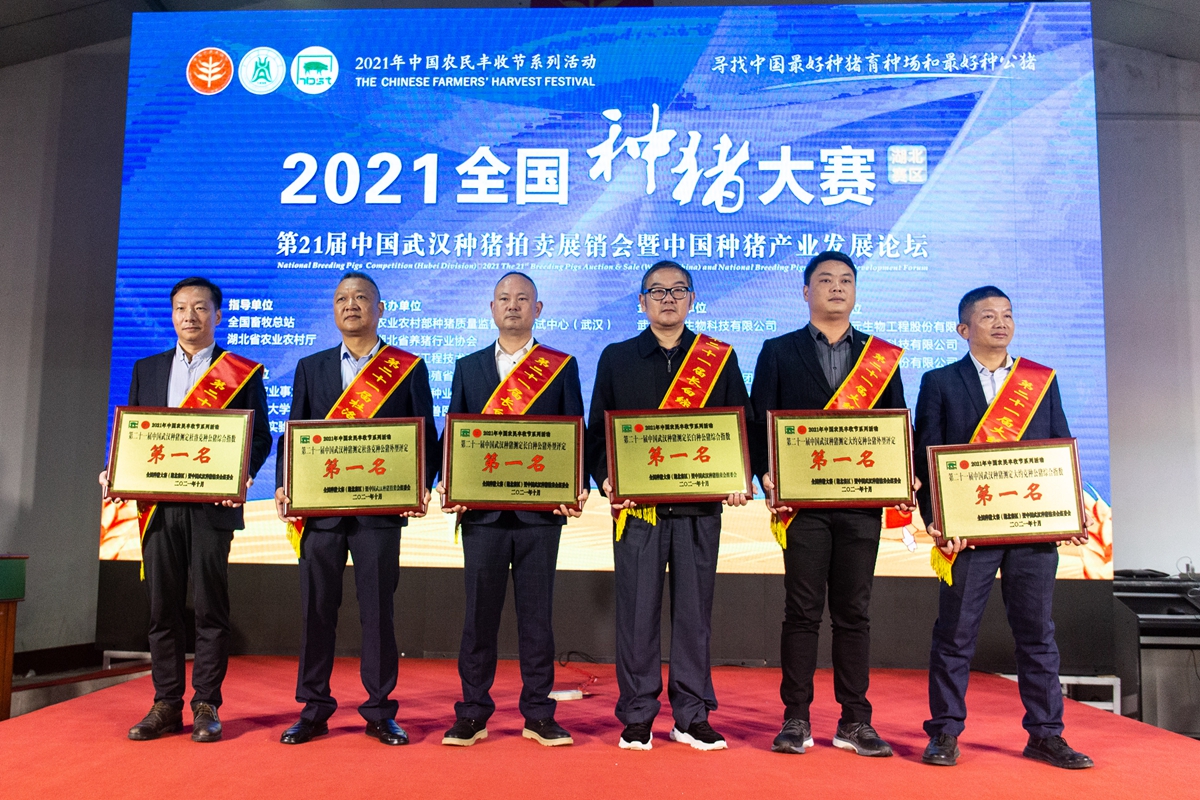 全国种猪大赛（湖北赛区）暨第21届中国武汉种猪拍卖会在我校举行