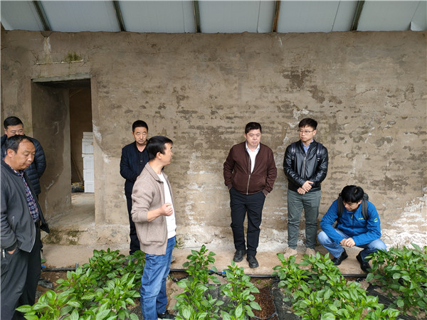 环境学院赴甘肃宕昌调研乡村振兴工作