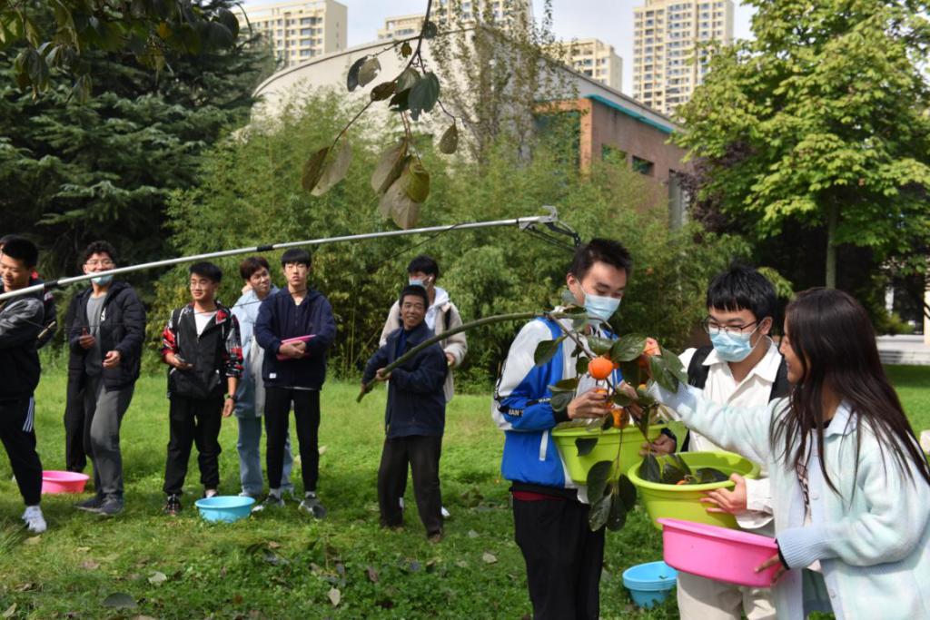 【创建文明校园专栏】后勤集团举办“金秋硕果同分享”柿子采摘体验活动