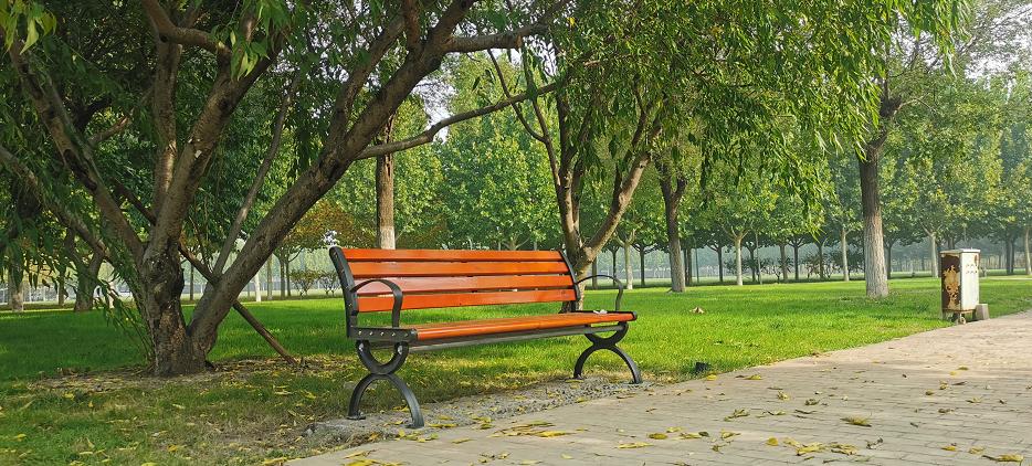 【我为师生办实事】添一把椅，让校园更有温度——北洋园校区安装景观长椅