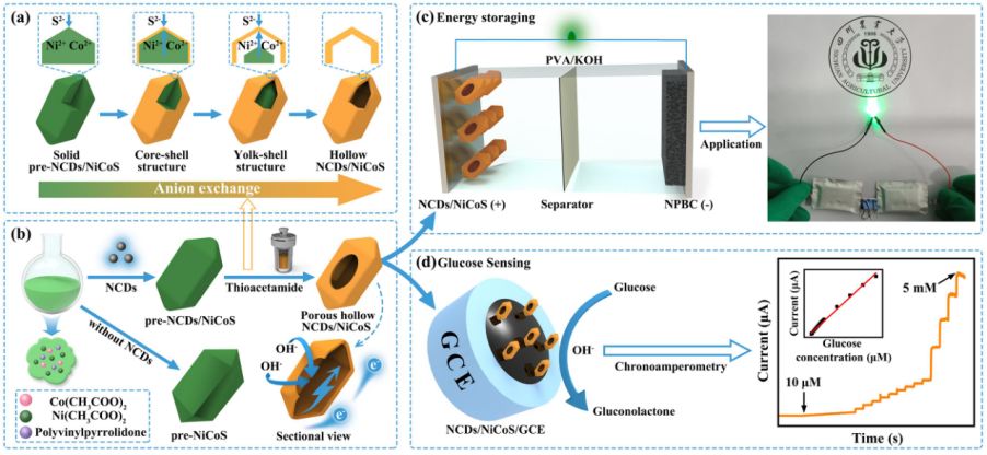 理学院在碳基电催化剂领域再获重要进展