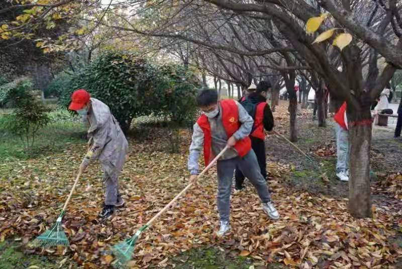 【创建文明校园专栏】“创文明校园，落叶归‘箱’总动员”校园美化活动