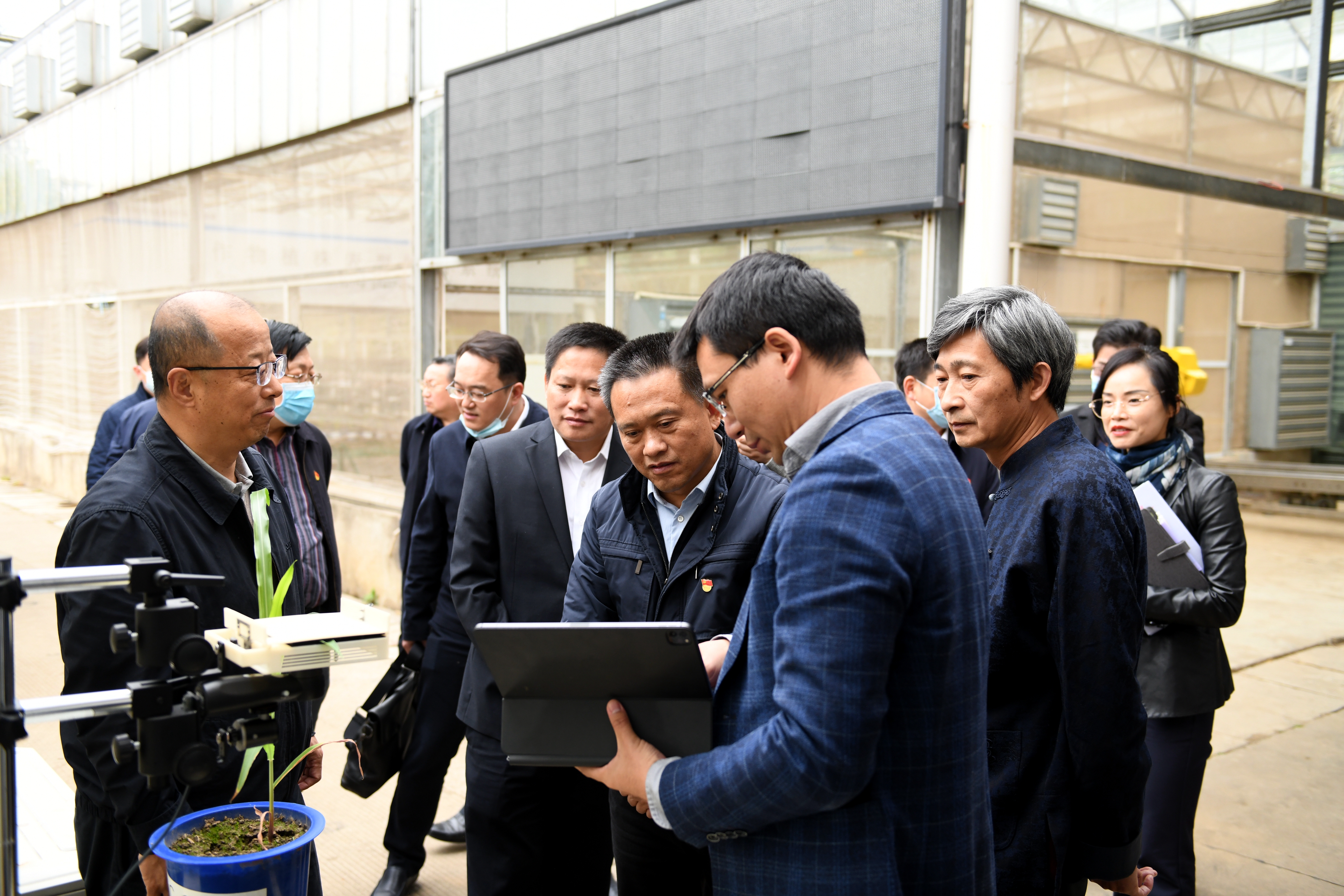 学史力行：学校党委与洪山区委开展专题中心组联组学习