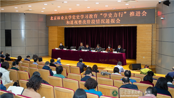 我校召开党史学习教育“学史力行”推进会暨巡视整改阶
