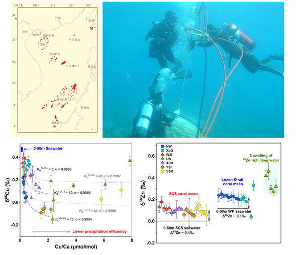 天津大学地科院在珊瑚铜、锌同位素研究方面取得进展