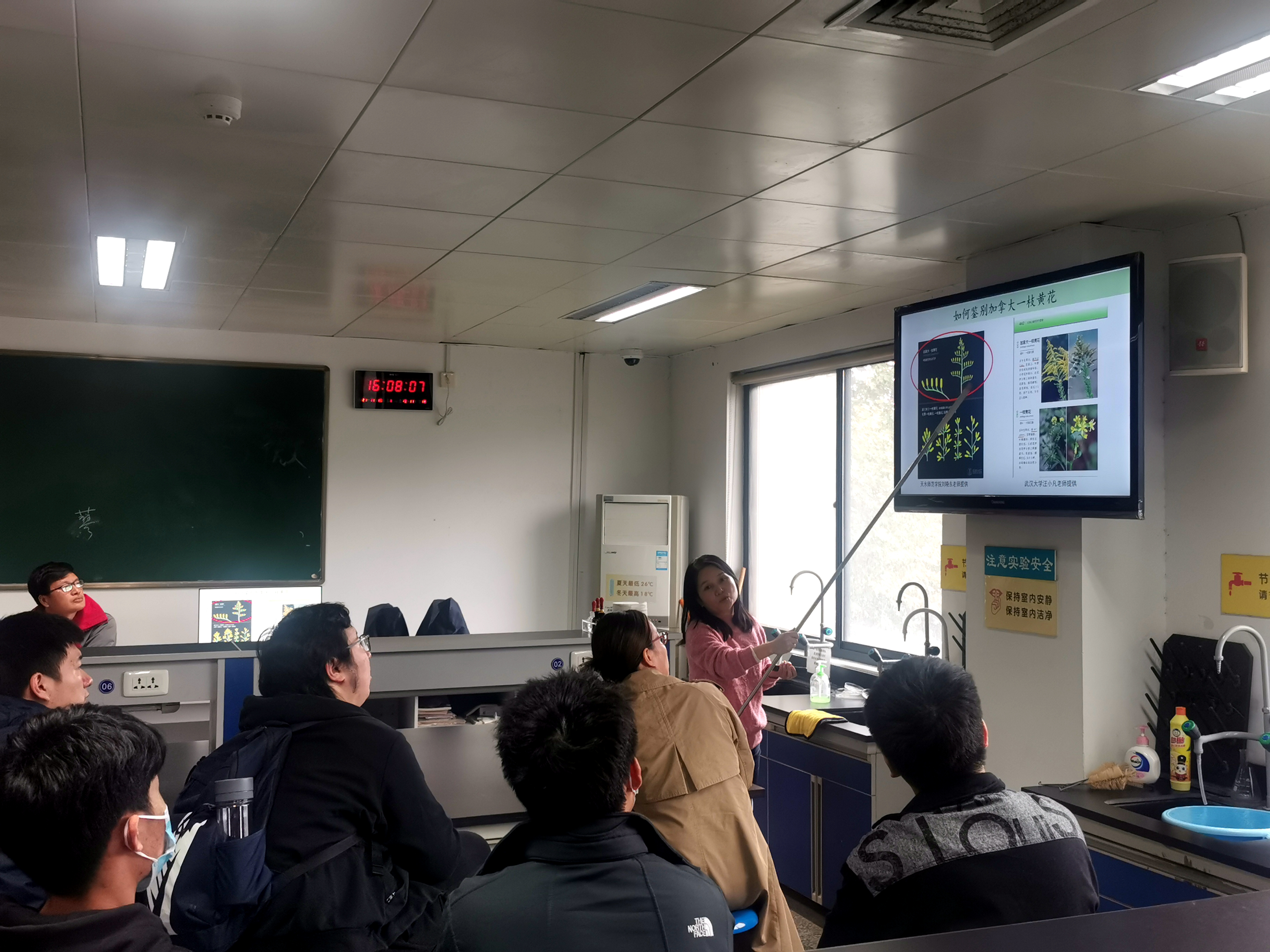 【我为师生办实事】生物科学系教工党支部开展“加拿大一枝黄花”防除志愿服务活动