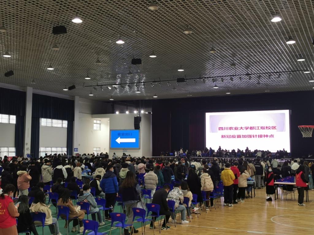 都江堰校区组织开展新冠疫苗加强针接种工作