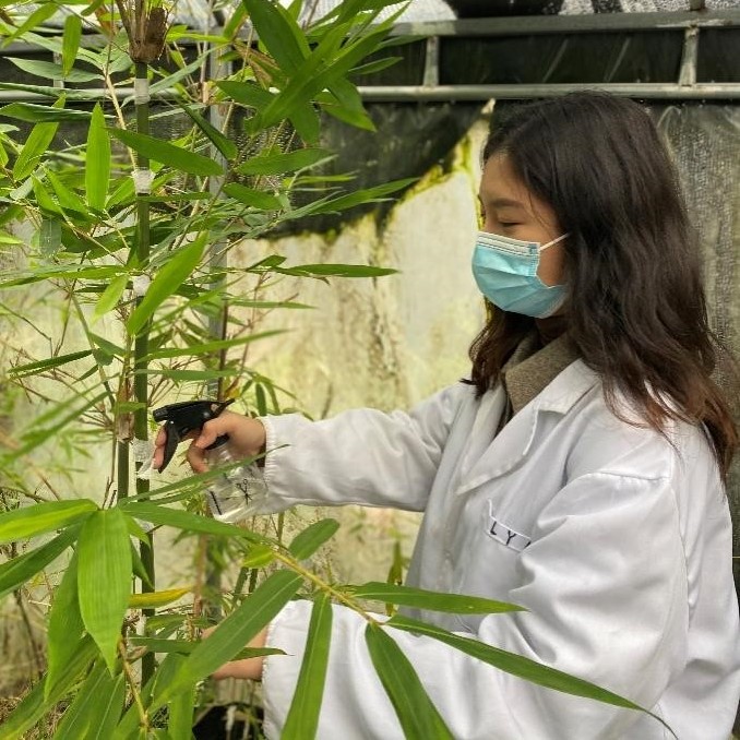 【求学记】张寒：热爱是最佳动力