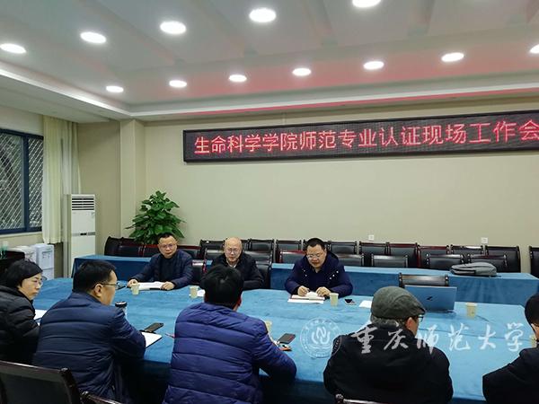 校领导调研推进师范专业认证工作