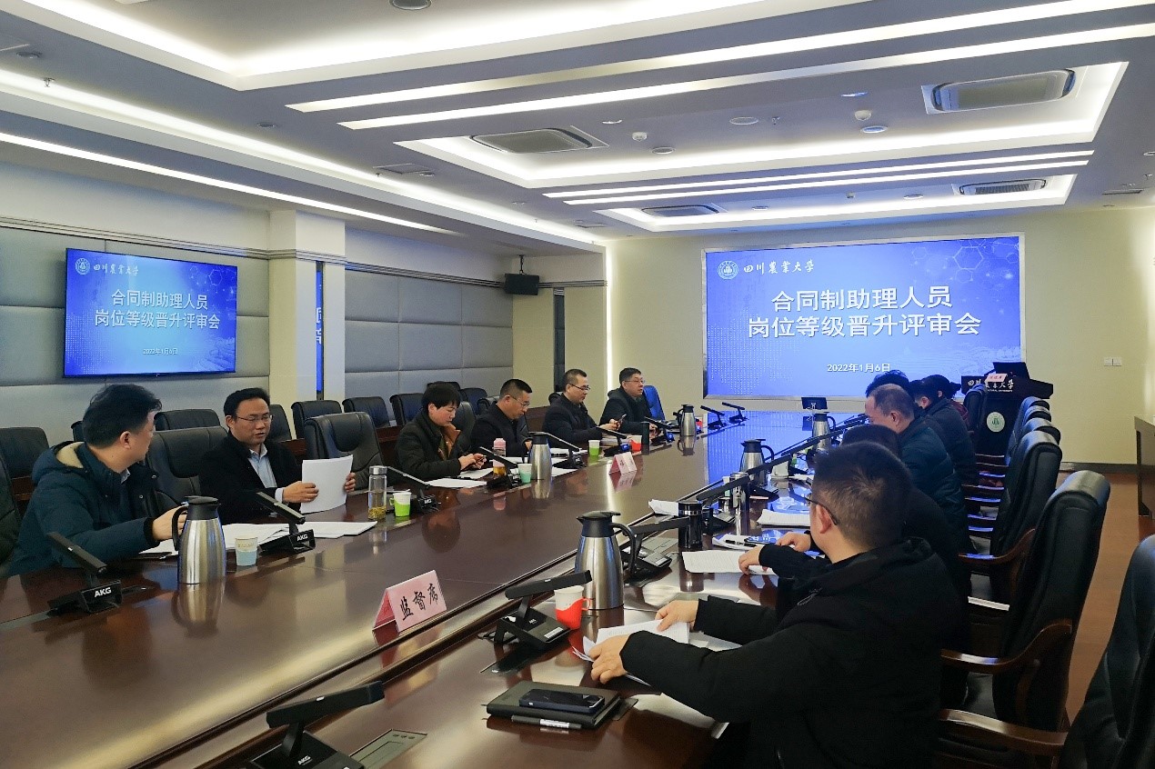 学校举行合同制聘用人员岗位晋升评审会