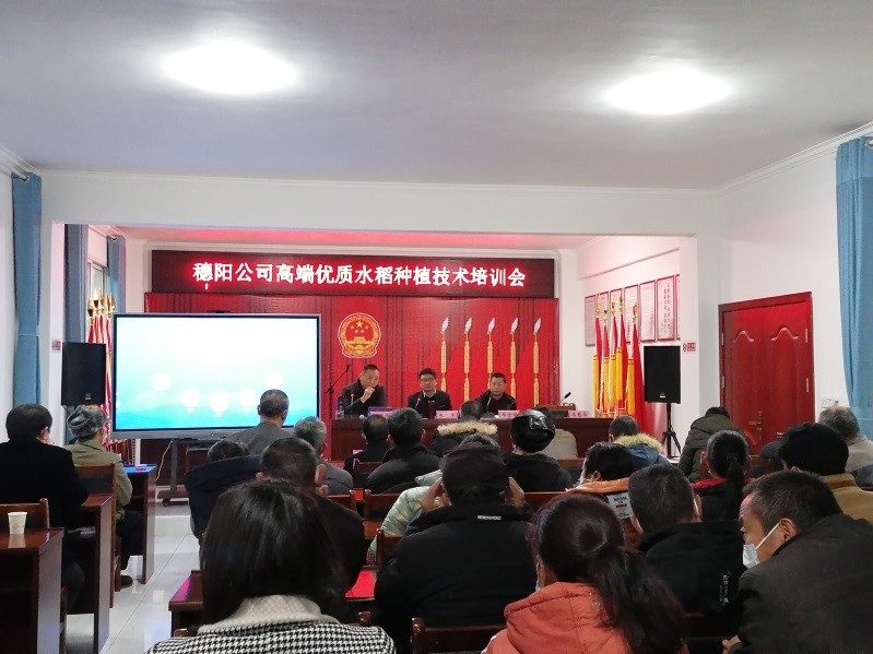 水稻研究所专家主动融入乡村振兴助推水稻产业深度发展