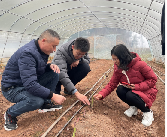 蔬菜专家团赴巴中开展乡村振兴科技帮扶活动