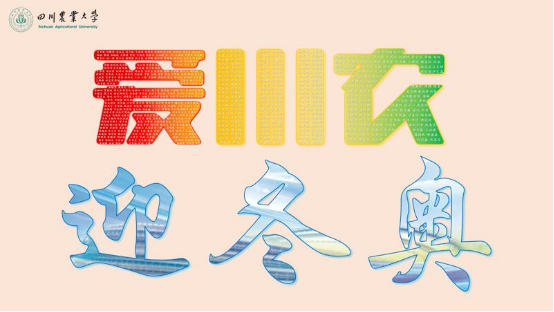 青春向未来川农青年学子花样迎冬奥