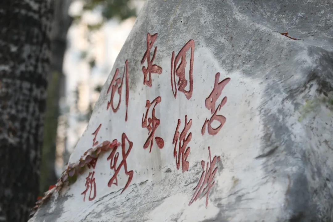 又双叒上央视了！这次是《新闻联播》！