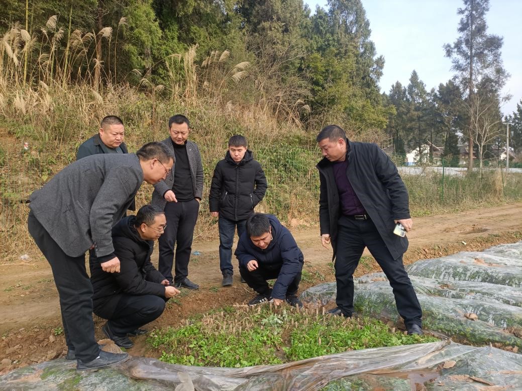 草学专家赴广元市开展生产技术指导和培训