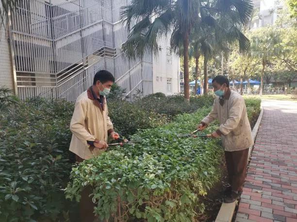 春满广大学子返校进行时