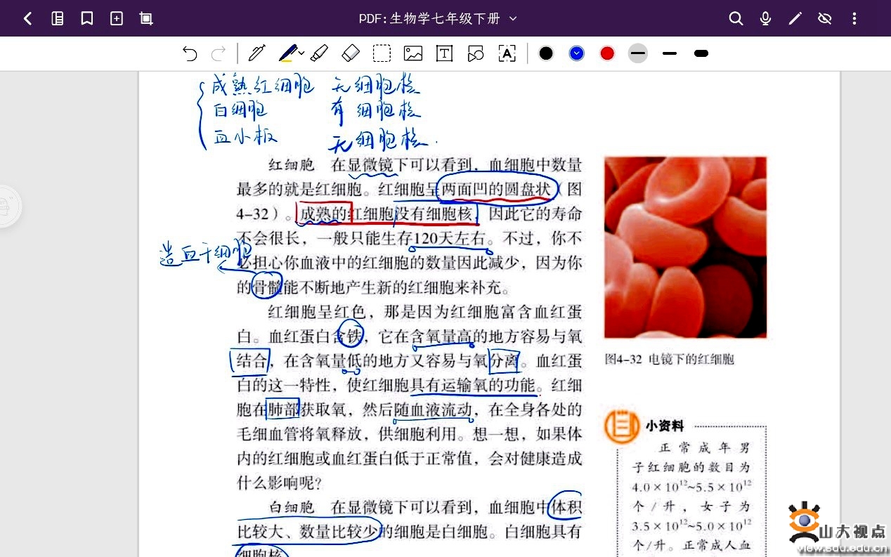 ​［网络］学生寒假社会实践结束