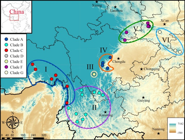生命科学学院在蛇类物种多样性研究方面取得进展