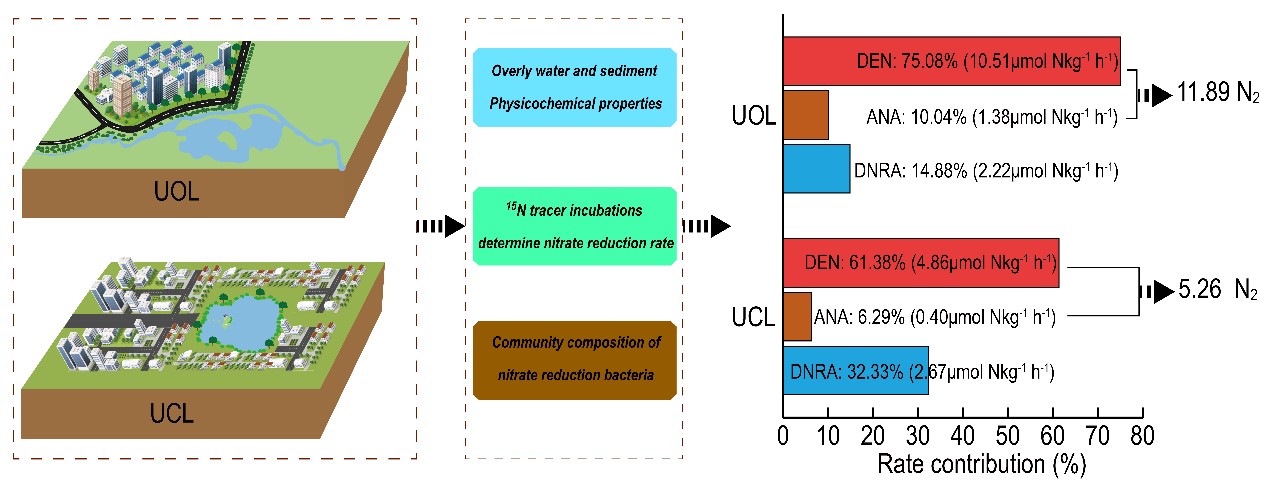 环境学院在城市湖泊水环境硝酸盐异化还原过程研究取得重要进展