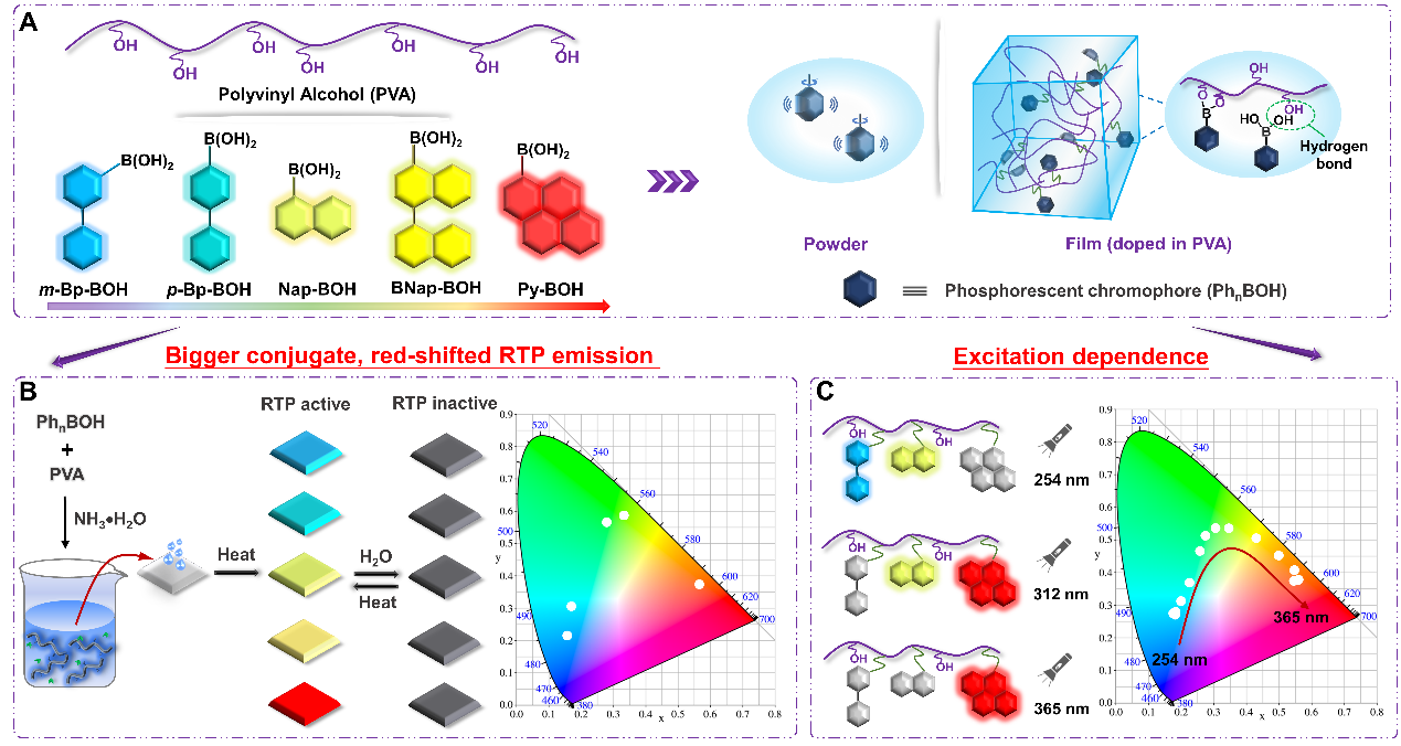 李振教授团队《SciAdv》：全色域可调的刺激响应有机室温磷光材料