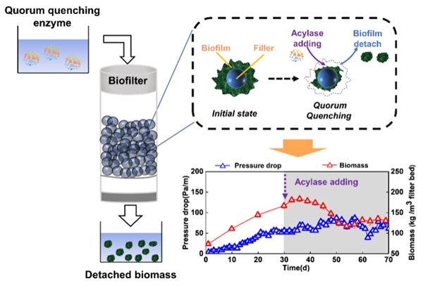 环境学院王灿教授研究团队在废气生物过滤堵塞控制方面取得新进展