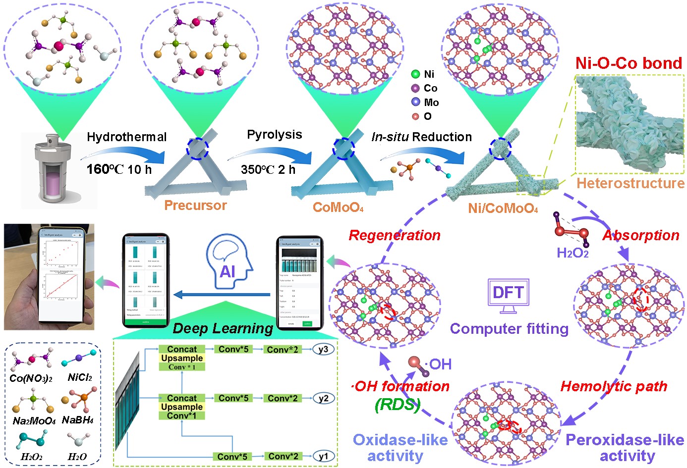 理学院在纳米酶催化机制研究领域取得新进展