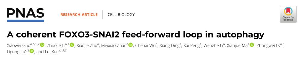 生命科学与技术学院薛雷教授课题组揭示Snail家族蛋白调控细胞自噬新功能，研究成果发表于《美国科学院院报》
