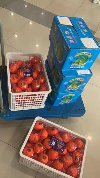 [战疫进行时]生科抗疫实录|饮水思源见真情，生生不息聚爱心