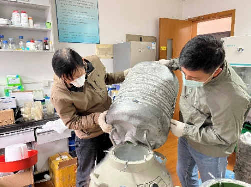 [战疫进行时]定风波——平凡农生人的抗疫诗篇