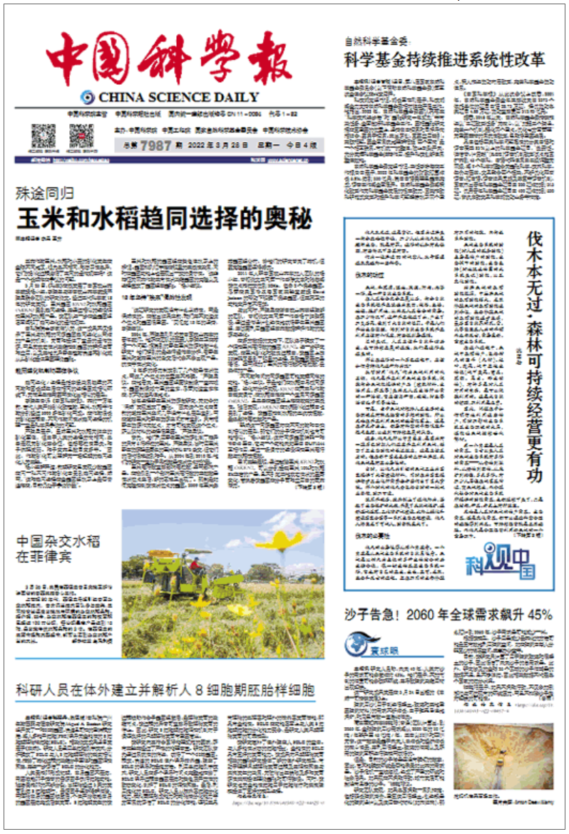 沈国舫院士谈森林可持续经营