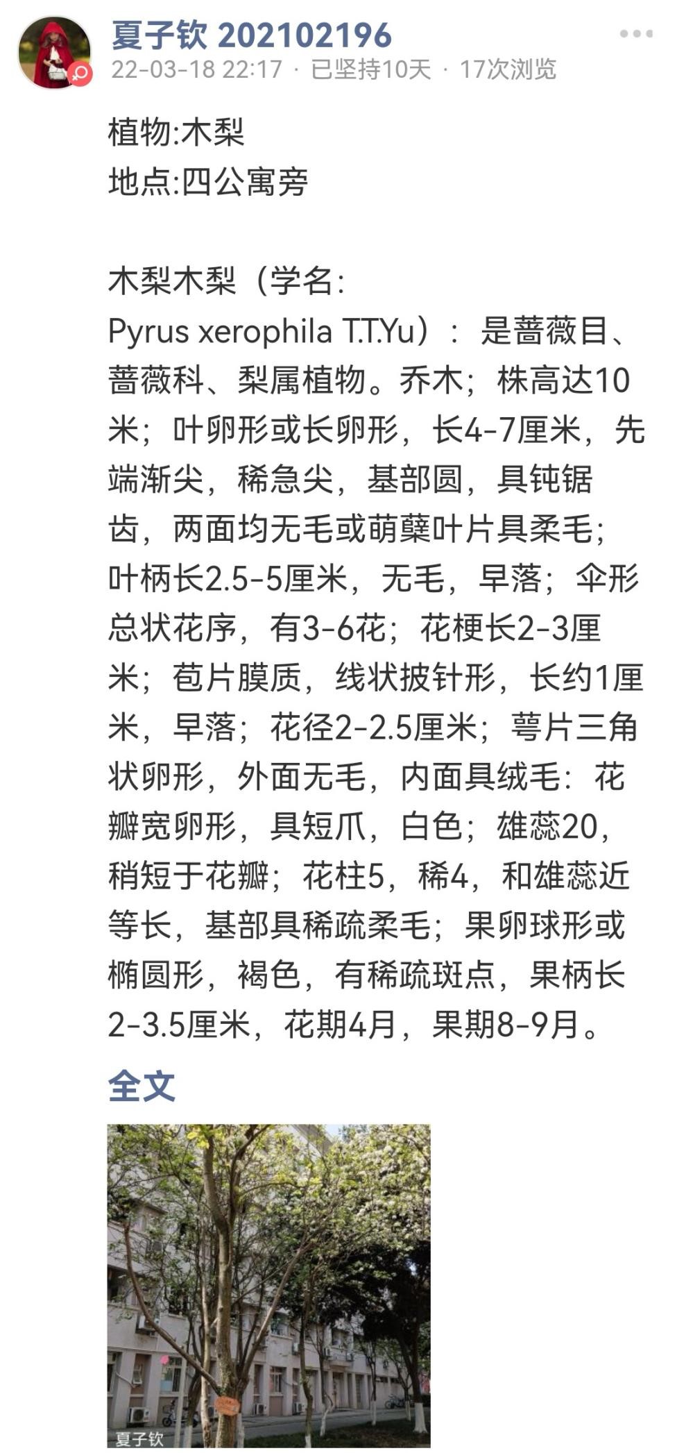 “春风吹绿共绘丹青”活动开展增强同学爱林护林绿色意识