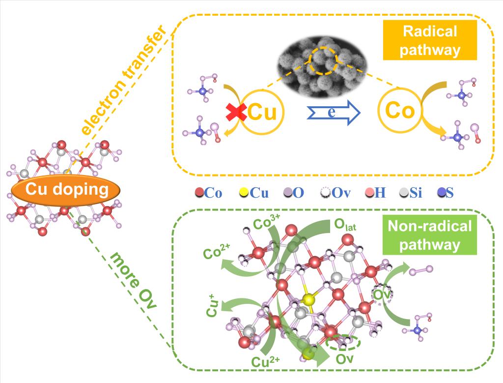 环境学院在去除水中难降解抗生素研究中取得重要进展