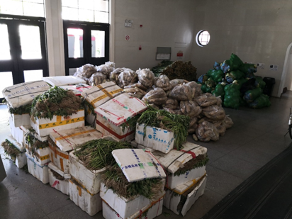 [战疫大视野]江西省乐平市向上海交大捐赠爱心蔬菜