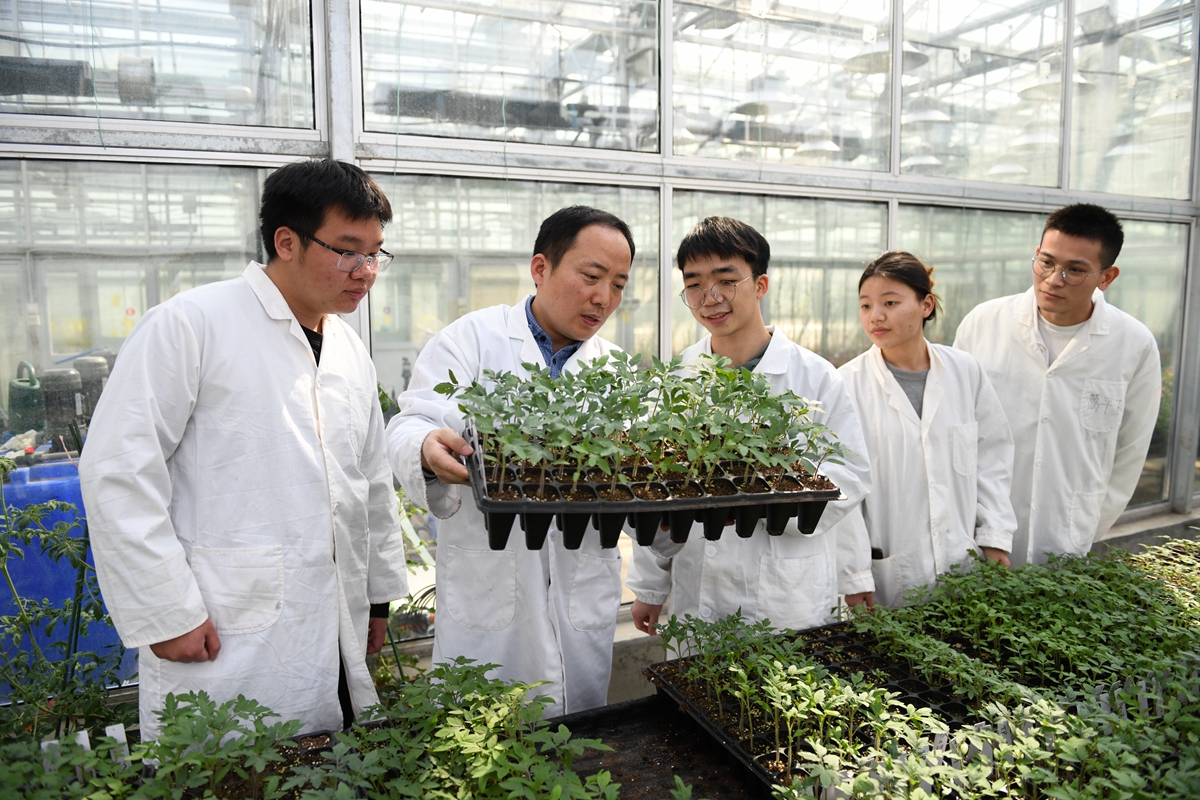 【师者】张余洋：用炙热的爱，让每一株“苗”茁壮成长