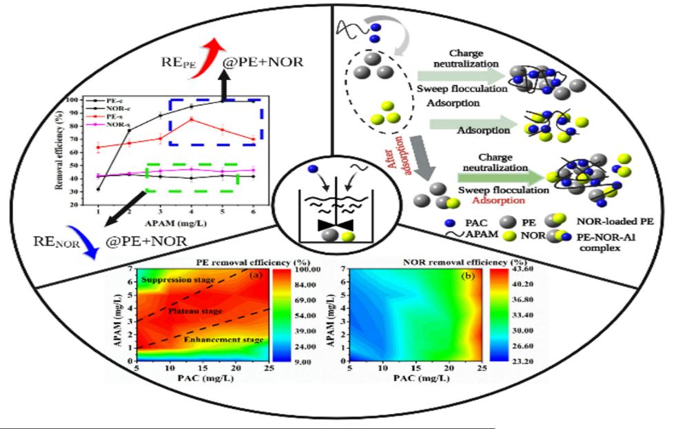 环境学院何劲松团队在微塑料-抗生素复合污染治理领域取得新进展