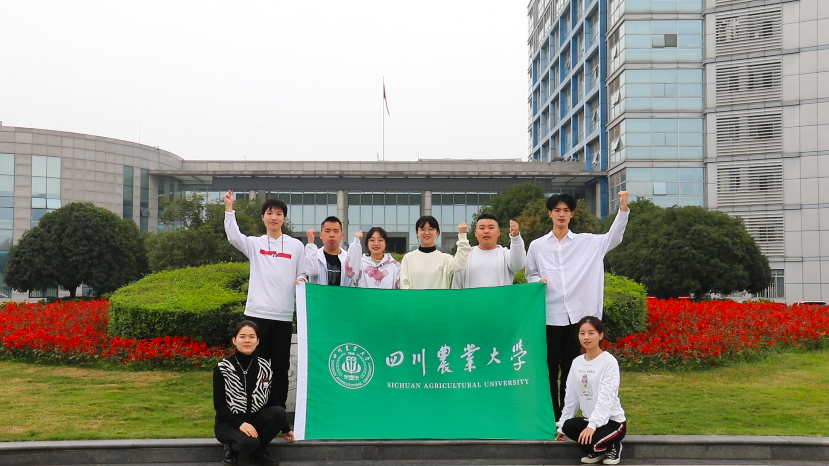 我校获“挑战杯”全国大学生科技竞赛优秀组织奖