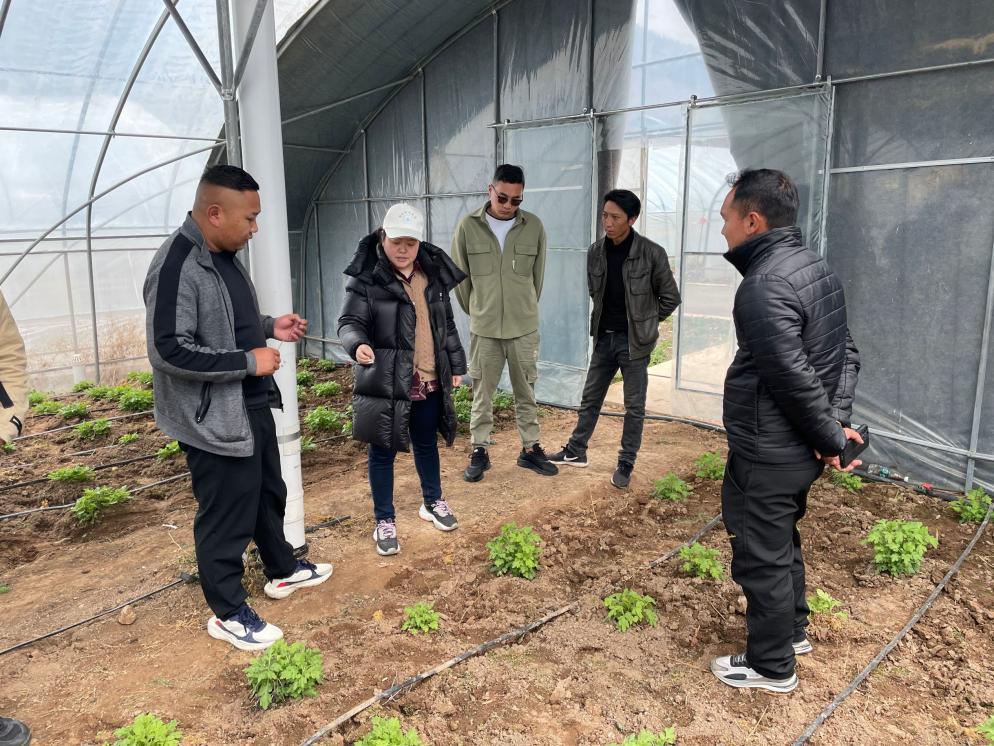 农学院师生助力白玉县青藏高原特色农作物种植