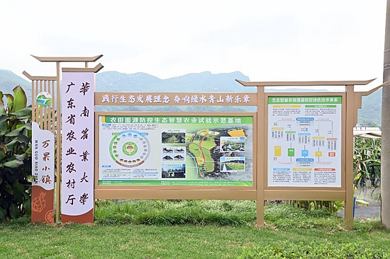王斌伟书记带队赴增城区调研万果小镇生态农场试验基地