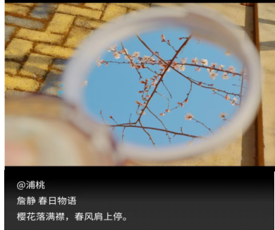我校开展“春日唤醒”心理健康教育宣传活动