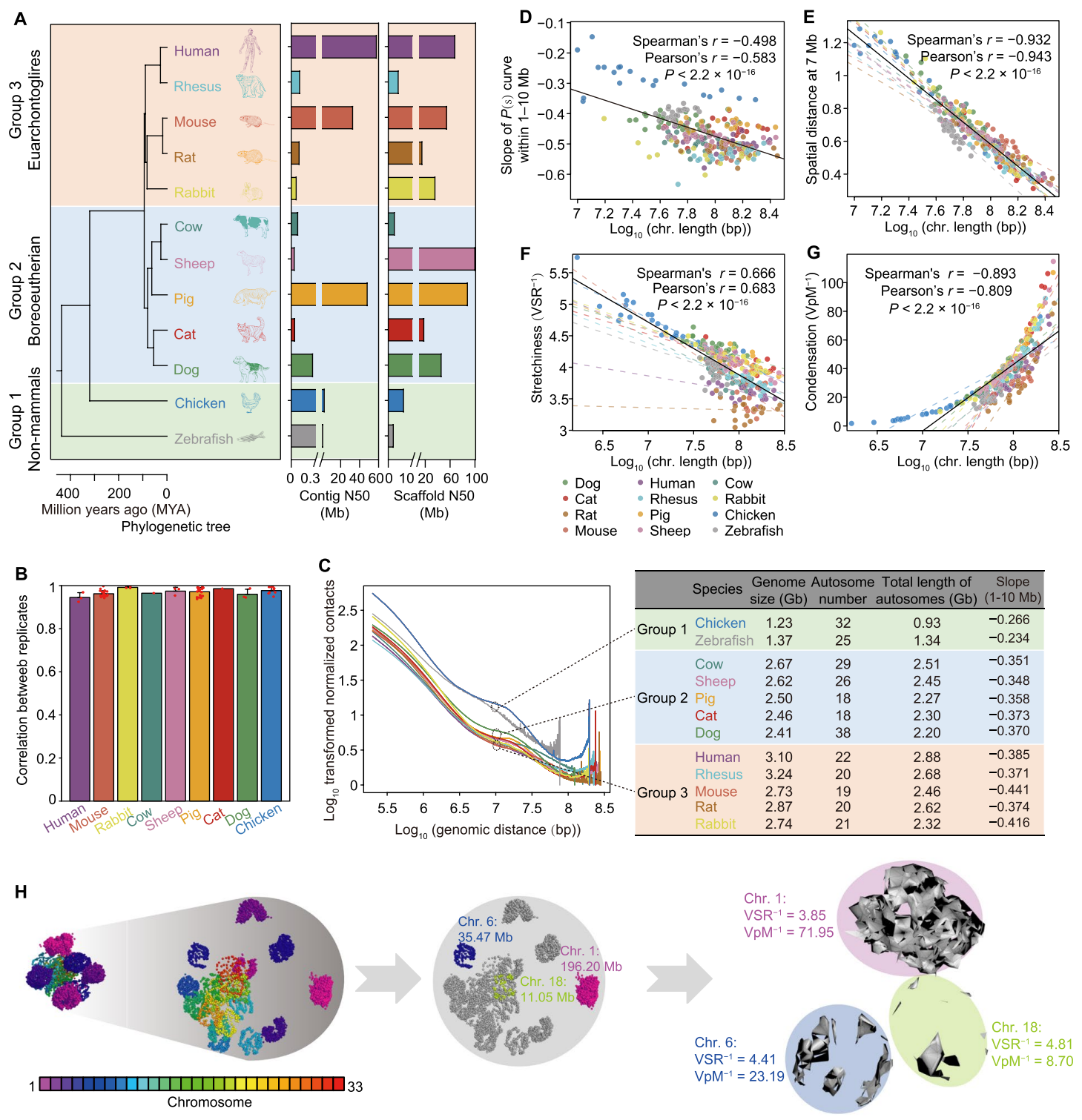 动科学院在农业动物和模式动物三维基因组比较研究中取得新进展